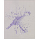 Bullfinch (transfer print)