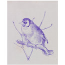 Goldfinch (transfer print)