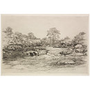 View of a rocky river and trees (etching)