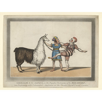 Print - H Beard Print Collection Print - H Beard Print Collection