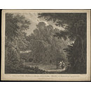 H Beard Print Collection (Print)
