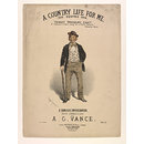 H Beard Print Collection (Print)