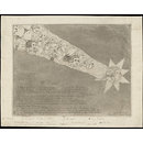 H Beard Print Collection (Print) H Beard Print Collection (Print)