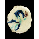 Fragment Fragment