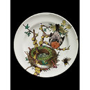 Plate - Naturalist series