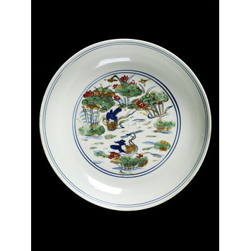 Dish