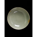 Dish Dish