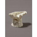 Salt cellar