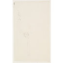 Topographical drawing (drawing) Topographical drawing (drawing)