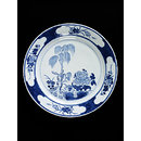 Dish