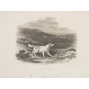 A Moor Scene. (Print)