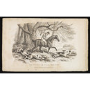Bringing On Tail Hounds (Print) Bringing On Tail Hounds (Print)