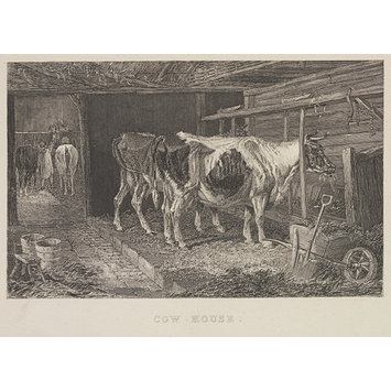Print - Cow House. Print - Cow House.