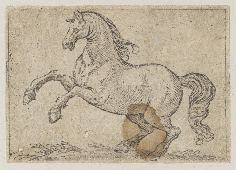 Early print of a horse
