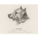 Rodney (Print)