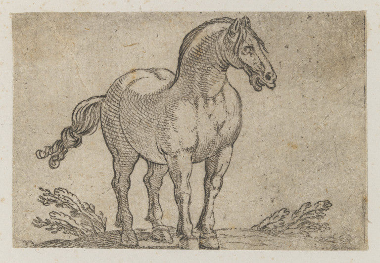 Early print of a horse