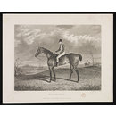 MOON RAKER (Print)
