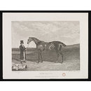 FAIR ELLEN (Print)