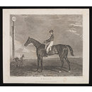 PRIAM (Print)