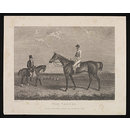 THE TARTAR (Print)