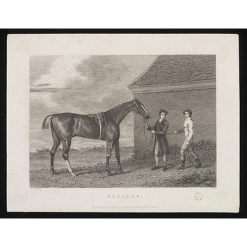 Print - ECLIPSE Print - ECLIPSE