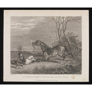 Print - A Thorough-Bred one Falling at his Fence Print - A Thorough-Bred one Falling at his Fence