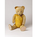 Teddy bear