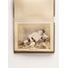 Memorial photograph album - Justin
