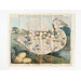 Board game - Laurie's New and Entertaining Game of the Golden Goose