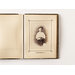 Memorial photograph album - Justin