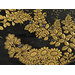 Chest - The Mazarin Chest Chest - The Mazarin Chest
