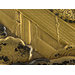 Chest - The Mazarin Chest Chest - The Mazarin Chest