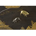 Chest - The Mazarin Chest Chest - The Mazarin Chest