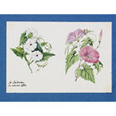 Design for embroidery in coloured silks (Embroidery design)