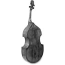 Bass viol