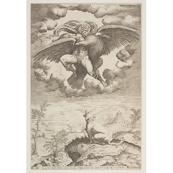 Print - Rape of Ganymede