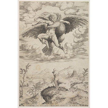 Print - Rape of Ganymede