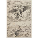 Print - Rape of Ganymede