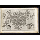 Kunst-und Fleiss-übende Nadel-Ergötzungen oder neu- erfundenes Neh- und Stick-Buch; The Delights of the Art and Industry of the practising Needle or newly invented Sewing and Embroidery book; Part I (Design)