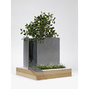Forever Forest, Endless Sea (Architectural model)
