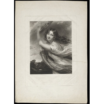 Print - H Beard Print Collection Print - H Beard Print Collection