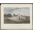 H Beard Print Collection (Print)