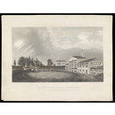 H Beard Print Collection (Print)