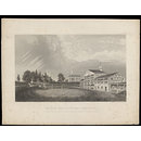 H Beard Print Collection (Print)