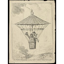 H Beard Print Collection (Print)