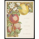 Flowers and Fruit from Bible Lands (Card) Flowers and Fruit from Bible Lands (Card)