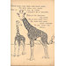 Tracing book - Pictures to Trace No. 502