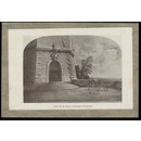H Beard Print Collection (Print)