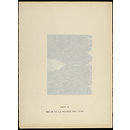 H Beard Print Collection (Print)