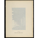 H Beard Print Collection (Print)